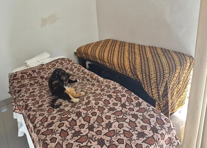Spirit Guest house Canggu (Bali)